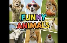 Funny Animals Najśmieszniejsze zwierzęta w akcji!