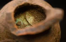 Skarb w Małopolsce. Denary polskiego króla ukryte w lesie