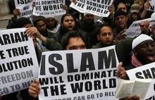 Czemu feministki lubią islam, a nie lubą białych?