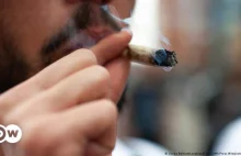 Legalizacja marihuany w Niemczech. Zainteresowanych jedenaście miast