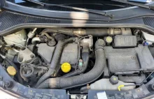 Renault za darmo zmodernizuje Twojego diesla. Aktualizacja zmniejszy emisję NOX