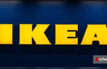 Fotel Markus z IKEA: źródło awarii komputerów?