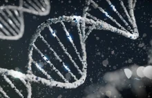 Dane genetyczne wskazują, że Słowianie przybyli na ziemie polskie w VI w.