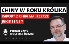 Chiny w Roku Królika: czy import z Chin ma jeszcze jakiś sens?