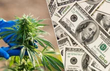 Kolorado: Podatki ze sprzedaży marihuany przewyższają te ze sprzedaży tytoniu i