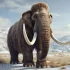 Z Syberii na Alaskę: historia migracji ludzi zapisana w kłach mamuta