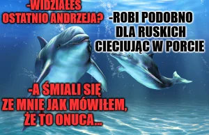 Problem kolaboracji wśród delfinów w raporcie ISW z 15 czerwca 2023 roku.