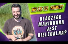 Karol tłumaczy: "Dlaczego marihuana jest nielegalna?"