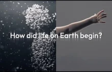 How Did Life on Earth Begin?