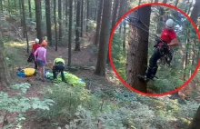 Beskid Wyspowy. Kobieta latała na paralotni. Utknęła na drzewie.