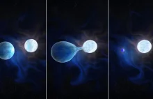 Odkryto populację masywnych gwiazd pozbawionych wodorowych otoczek