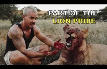Życie wśród lwiej rodziny - Dean Schneider żyjący z lwami.