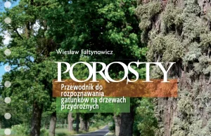 Porosty. Przewodnik do rozpoznawania gatunków na drzewach przydrożnych