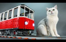Budowa pociągu RC Lego, którym mogą jeździć koty
