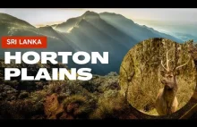 Horton Plains - Trekking na koniec świata