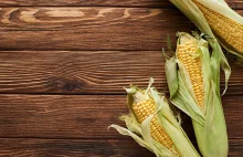 WASDE prognozuje rekordowe zbiory kukurydzy i ograniczoną podaż soi