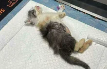 Wstyd, żal i bezsilnośćale również ogromna nadzieja