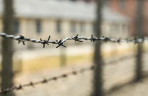 Holandia. Bagatelizowanie Holocaustu będzie karane