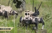 Zmechanizowane psy wojny. Uzbrojone roboty przy granicy z Rosją