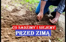 PAŹDZIERNIK - CO SIEJEMY I SADZIMY PRZED ZIMĄ?