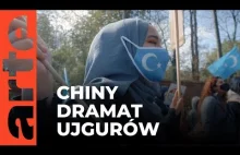 Tortury, przymusowe sterylizacje, obozy pracy, codzienność Ujgurów w Chinach.
