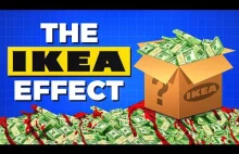 [EN] Jak IKEA osiągnęła globalny sukces i jaki w tym udział miała Polska