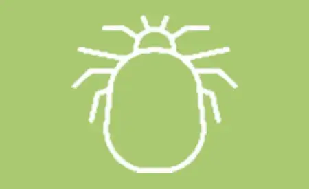 Odkleszczowe zapalenie mózgu objawy, badania, profilaktyka