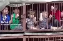 Izraelskie dzieci w klatkach dla królików w niewoli Hamasu.