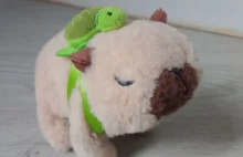 AMA Eliza,llm hybryd