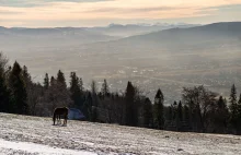 Jedziesz na ferie? Uważaj na smog, bo w górach go nie zabraknie