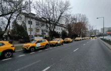 Zajęli płatną strefę parkowania. Firmowa flota parkuje za darmo