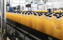 Byli potentatem w swojej branży. Polski gigant Marwit wyprzedaje majątek