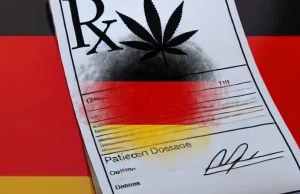 Niemcy: Ważne zmiany dla pacjentów medycznej marihuany