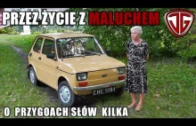 Przez życie z maluchem