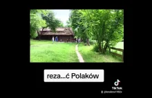 Ukraińskie dzieci krzyczą "rezać Polaków"