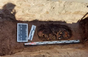 IPN odnalazł szczątki chłopca ofiary niemieckiego obozu dla dzieci.