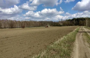 Ceny gruntów ornych w Polsce biją rekordy. Ile za hektar w twoim regionie?