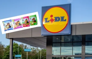 Lidl wycofał ciastka z Psim Patrolem. Fatalna pomyłka na opakowaniu