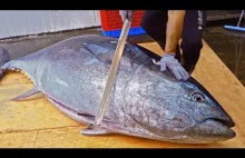 World's Sharpest Tuna Knife！Amazing Giant bluefin tuna cutting Master / 驚人的！巨大黑鮪