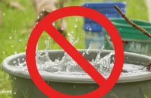 Zakaz używania deszczówki do podlewania trawników i roślin