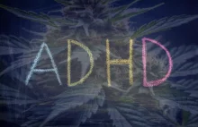 Medyczna marihuana na ADHD jest coraz częściej wybierana w UK