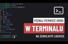 Pierwsze kroki w terminalu - nawigacja po Linuksie dla TOTALNYCH NOWICJUSZY