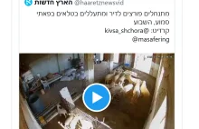 Moderacja skasowała znalezisko z izraelskim artykułem o ataku na jagnięcia.