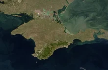 Drony Ukrainy zaatakowały bazę paliw blisko okupowanego Krymu