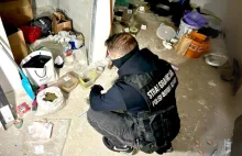 Funkcjonariusze Straży Granicznej przechwycili narkotyki o wartości 3 milionów z
