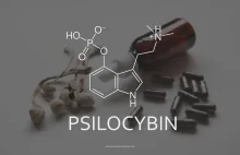 Psylocybina - Magiczna substancja, lek?