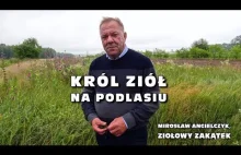 Król ziół na Podlasiu - u Mirosława Angielczyka, Ziołowy Zakątek, Dary Natury
