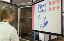 "Zjeść kurę i mieć kurę". Polska firma pozyska mięso bez zabijania zwierząt