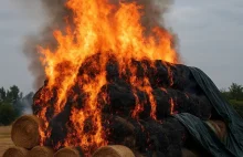 13-latek spowodował straty na 125 tys. zł. Ogień wymknął się spod kontroli