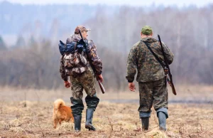 Wypadek na polowaniu w Polsce. Francuz postrzelił naganiacza. Śledczy badają spr